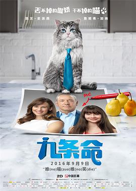 美女综合网